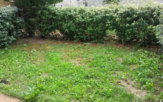 Appartement À louer 2 pièces 41 m²