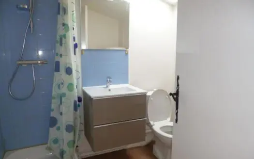 Appartement À louer 1 pièce 17 m²