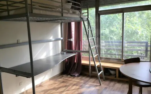 Appartement À louer 1 pièce 20 m²