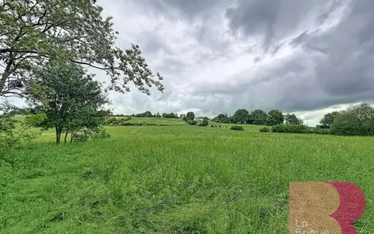 Terrain À vendre